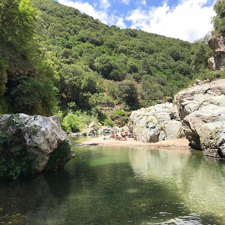 Ferula Romantica Mansarda Tra Fiumi E Montagne Sardegna Seùlo Exteriör bild
