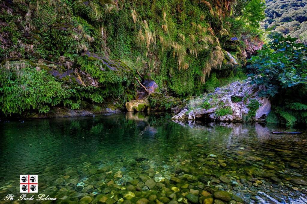 Ferula Romantica Mansarda Tra Fiumi E Montagne Sardegna Seùlo Exteriör bild